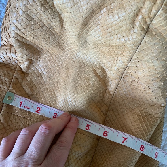 BOTTEGA VENETA snake skin bag. Great condition. Beautiful Bag. - Picture 10 of 14